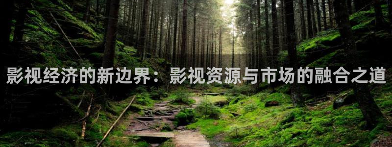 国产精品不卡毛片：影视经济的新边界：影视资源与市场的融合之道