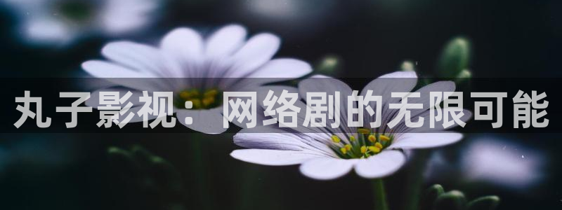 神马我不卡手机影视：丸子影视：网络剧的无限可能