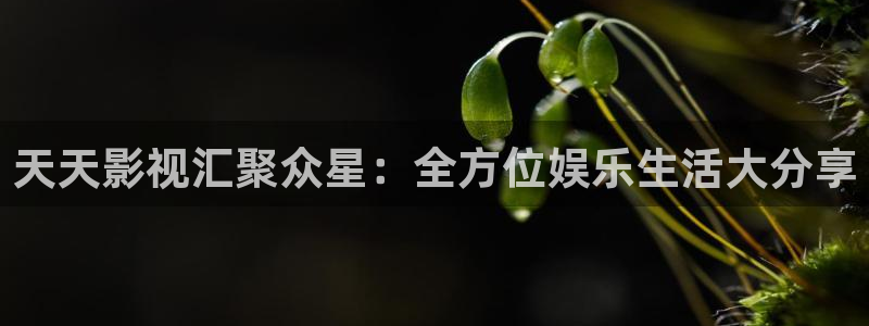 日本不卡一区二区电影：天天影视汇聚众星：全方位娱乐生活大分享