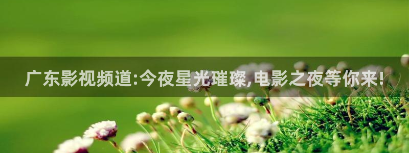 秋霞电影不卡：广东影视频道:今夜星光璀璨,电影之夜等你来!