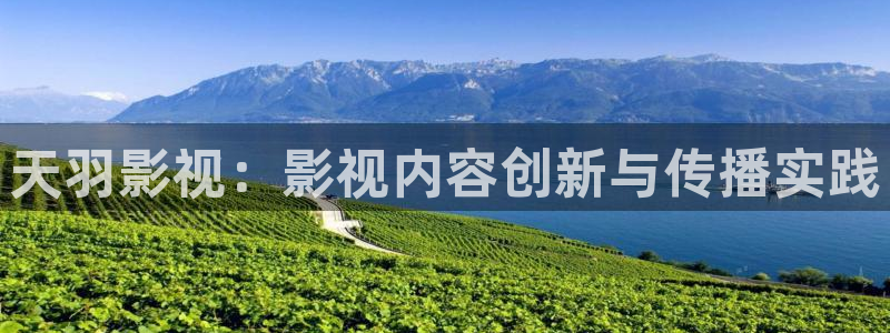 手机在线看片不卡网址：天羽影视：影视内容创新与传播实践