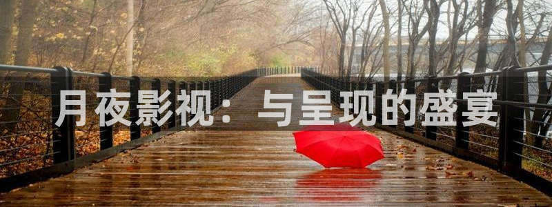 我不卡理论电影网：月夜影视：与呈现的盛宴