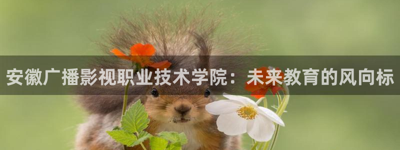 日韩不卡免费电影：安徽广播影视职业技术学院：未来教育的风向标
