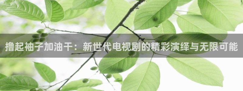 毛片在线不卡：撸起袖子加油干：新世代电视剧的精彩演绎与无限可能