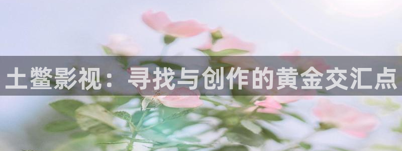 在线高清不卡：土鳖影视：寻找与创作的黄金交汇点