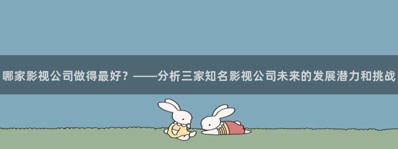 我不卡电影日韩：哪家影视公司做得最好？——分析三家知名影视公司未来的发展潜力和挑战