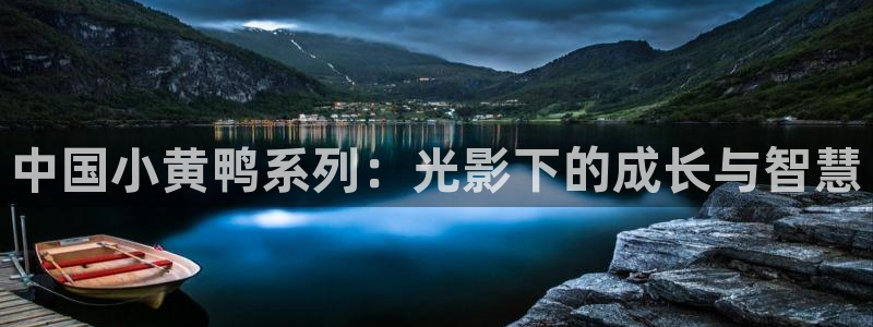 不卡电影日本：中国小黄鸭系列：光影下的成长与智慧